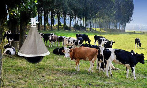 KERBL Bremsenfalle TaonX Eco